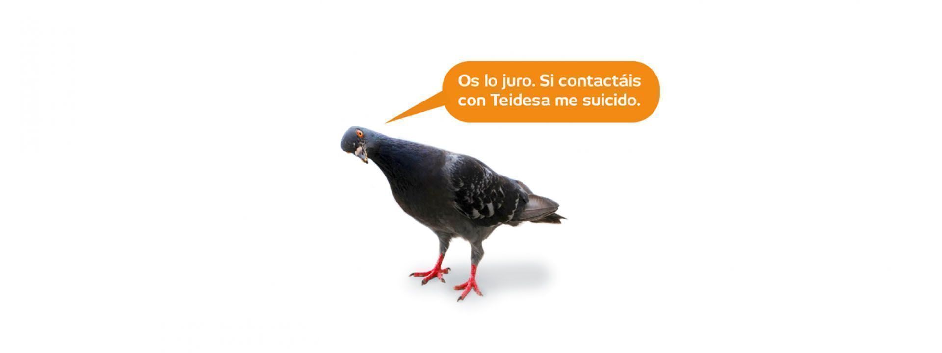 Palomas