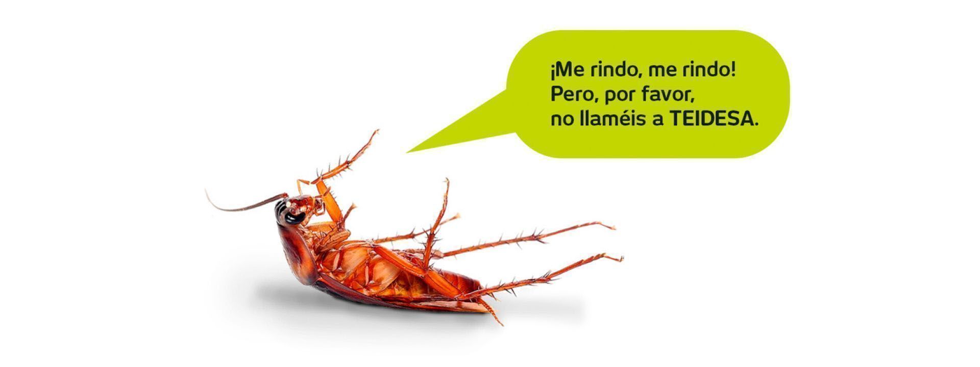 slidebg2